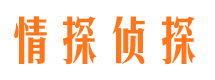 静安市侦探公司